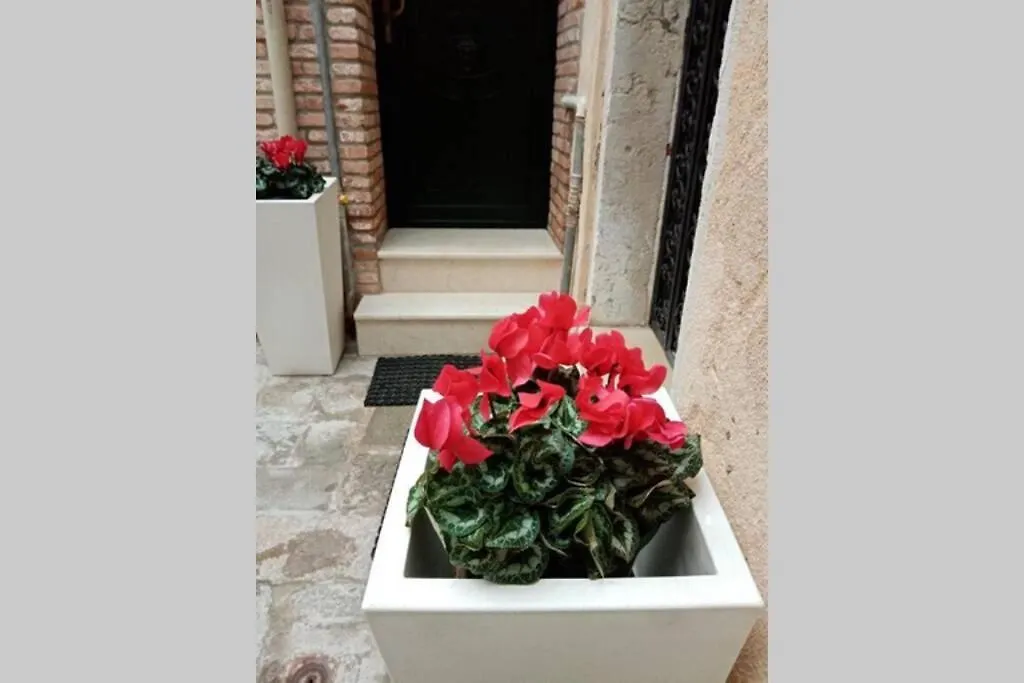 Ca Cici Venice Loft Apartment Italy